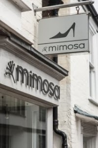 Mimosa Retail Ltd 742950 Image 1